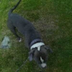 Meet your Posher, Ricky